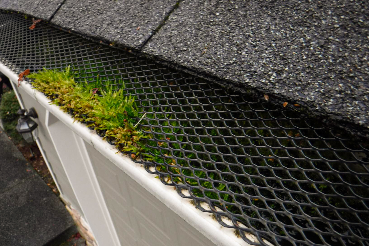 Gutter Screen Fail